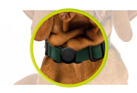 AirTag Pet Collar Black